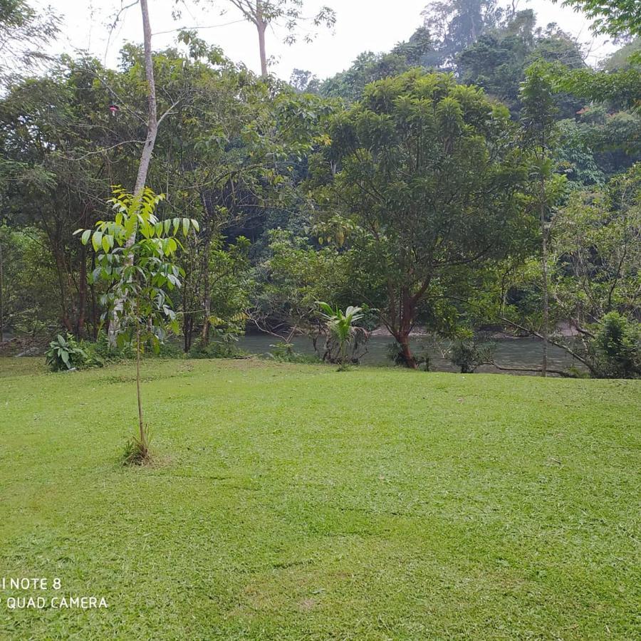Green Forest Tangkahan Exterior foto