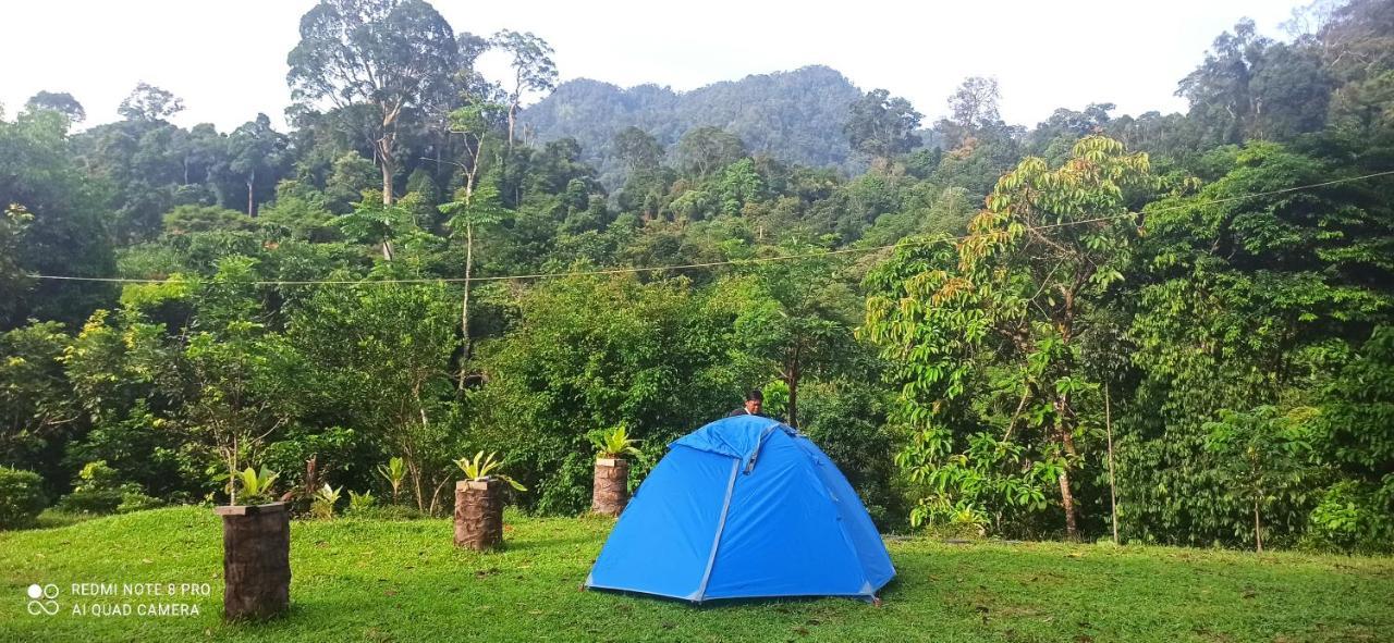 Green Forest Tangkahan Exterior foto