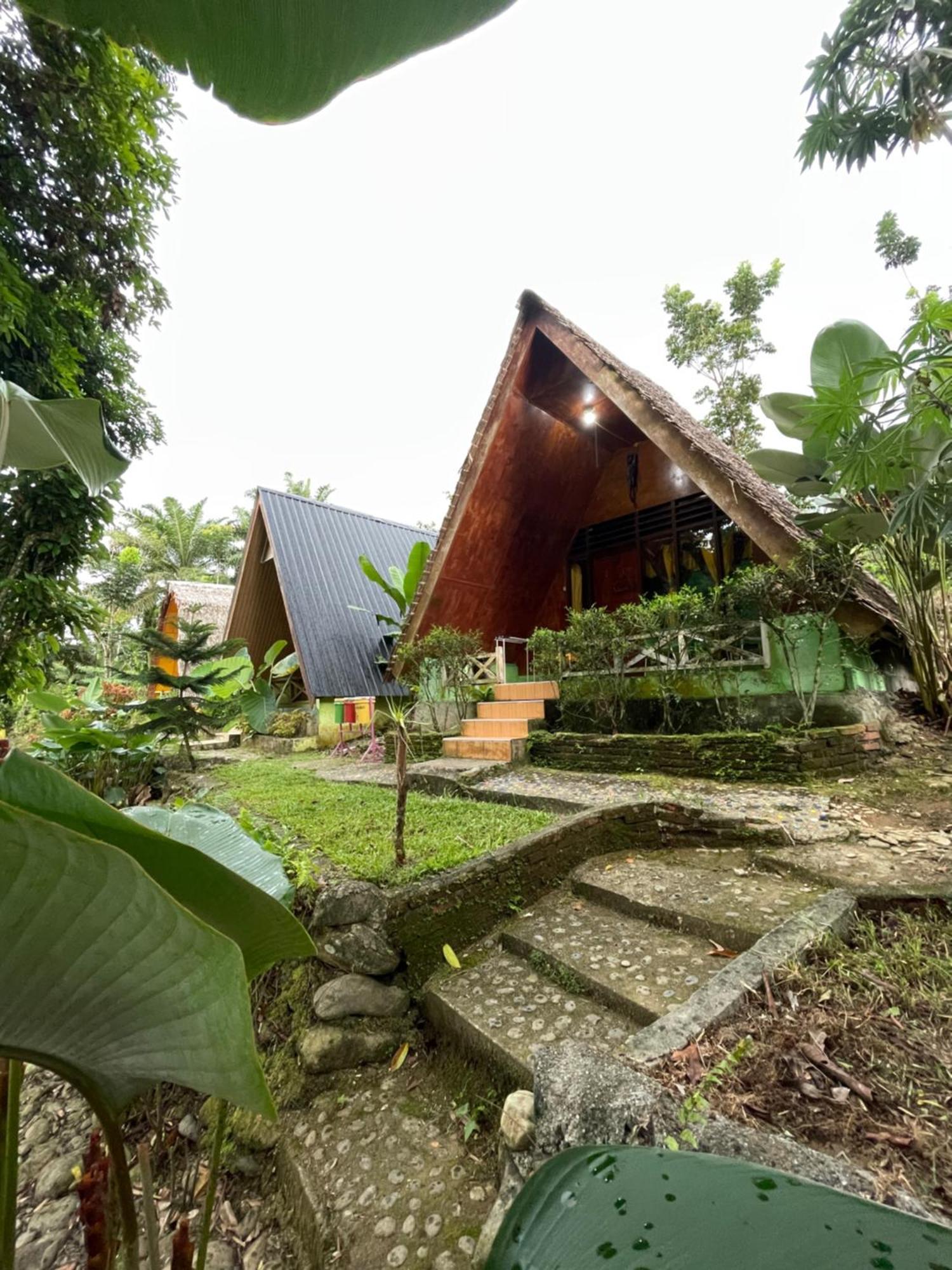 Green Forest Tangkahan Exterior foto