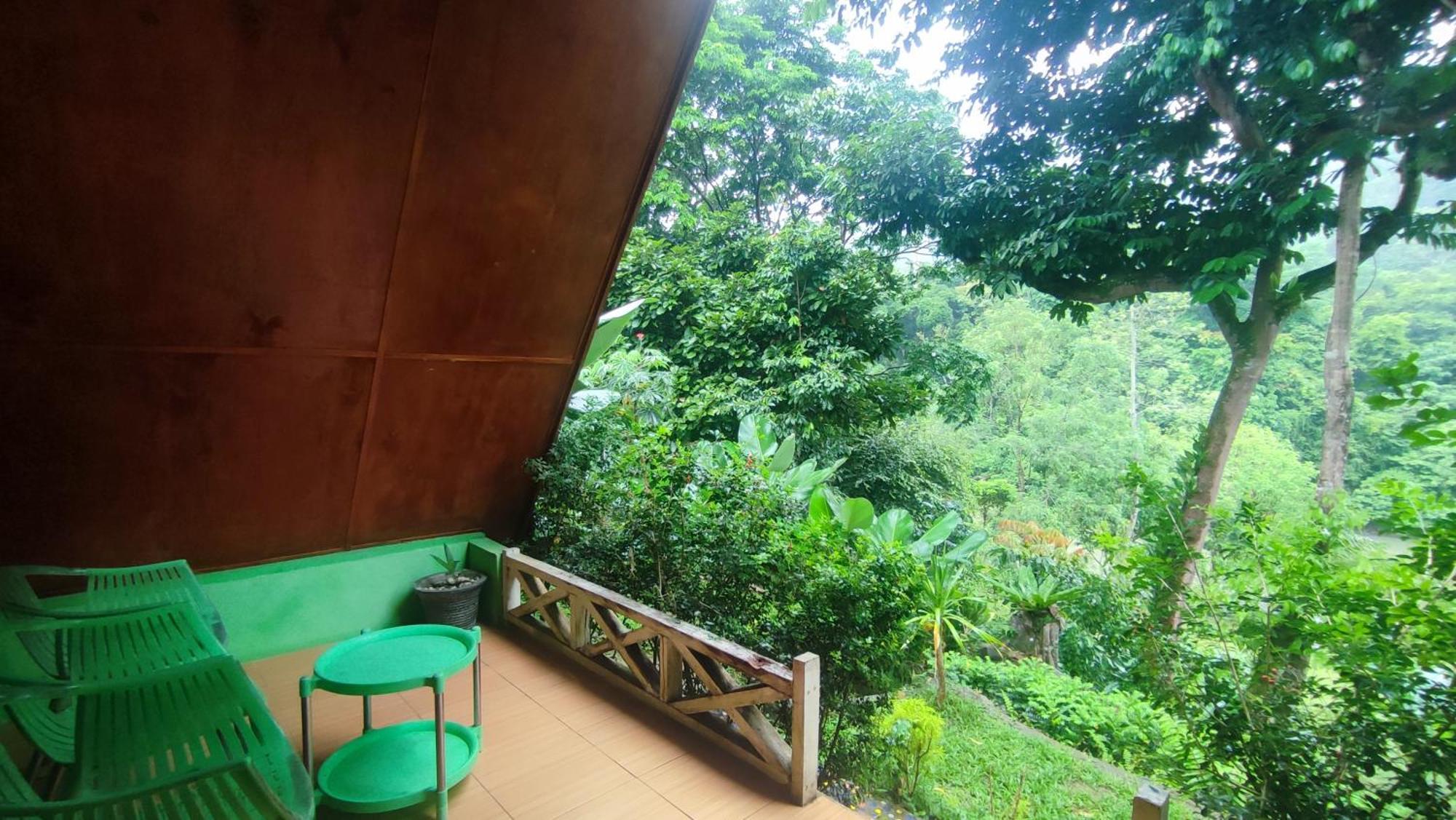 Green Forest Tangkahan Zimmer foto
