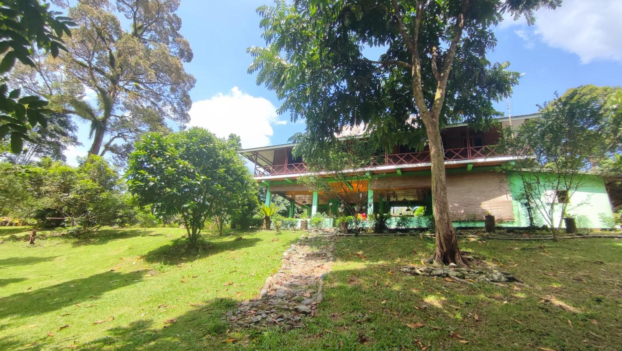 Green Forest Tangkahan Zimmer foto