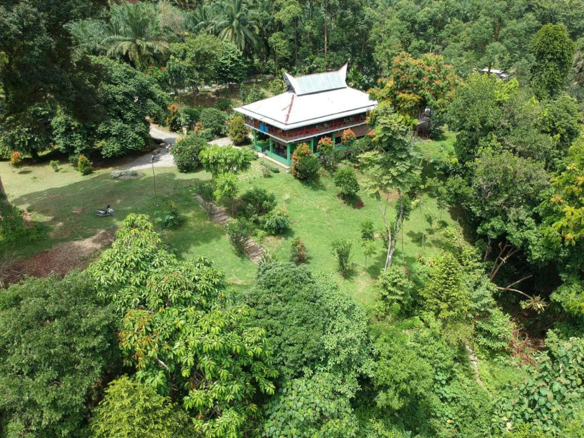Green Forest Tangkahan Exterior foto