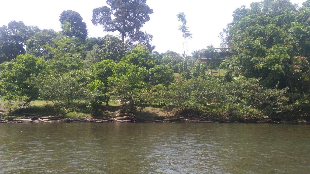 Green Forest Tangkahan Exterior foto